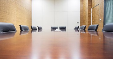 Executive, Scrutiny and Other Committees