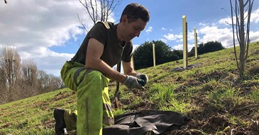 Creating new woodland in Exeter