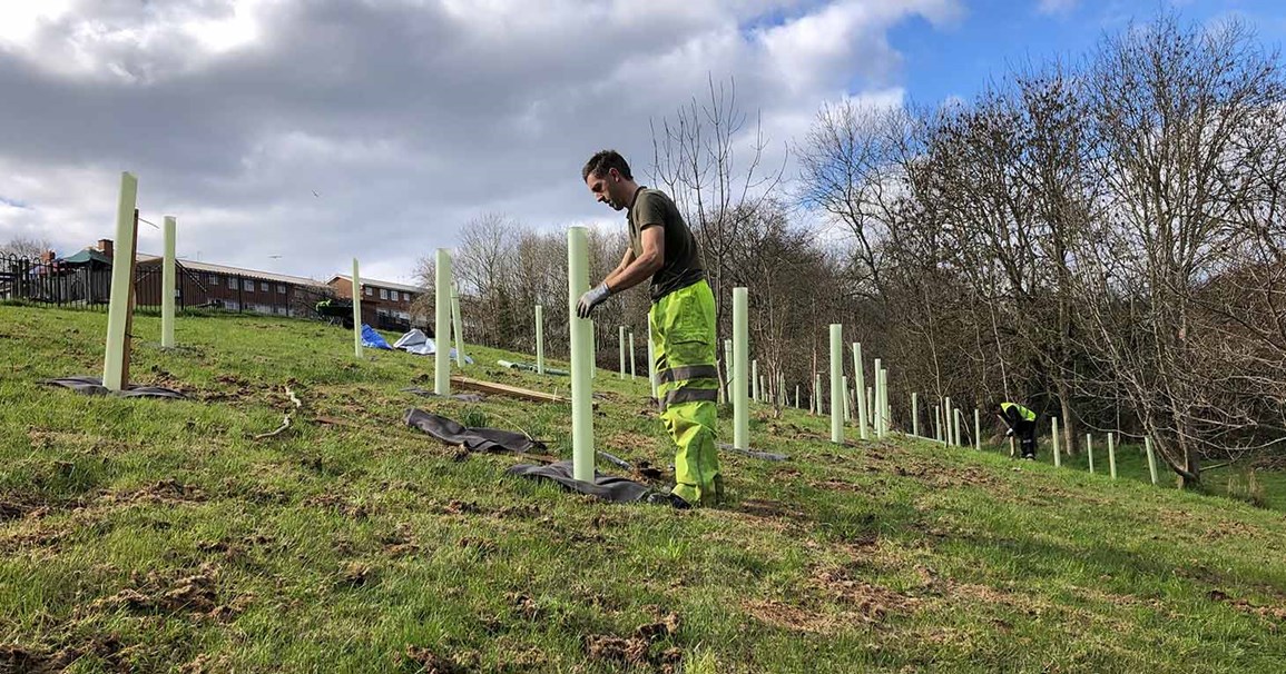 Creating new woodland in Exeter