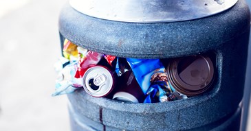 Council urges people not to leave litter beside overflowing bins
