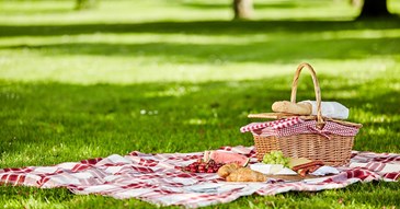 Enjoy a picnic in Exeter’s green open spaces