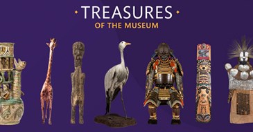 Visitors to Exeter’s museum asked to nominate their favourite ‘Treasure’