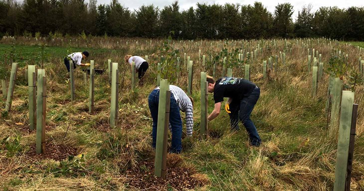 Workers swap office for the outdoors to green up Exeter