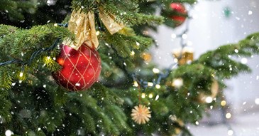 Recycle your real Christmas tree and help people with a terminal diagnosis