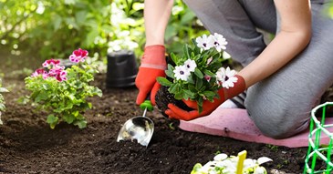 Council tenants and leaseholders invited to show off gardening skills 