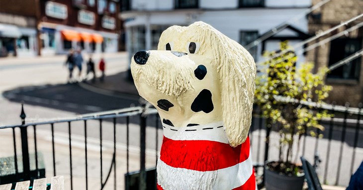 Time to paws for a second and spot Exeter’s giant pooches