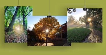 Winners announced in Exeter tree photography competition