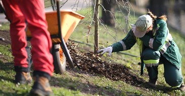 Help plant more trees in Exeter at community planting events