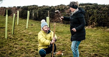 Tree planting project gets thousands of trees into the ground