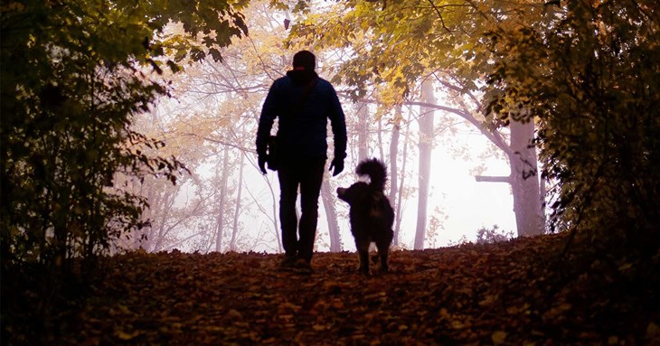Dog walkers urged to keep pets on paths to protect ground-nesting birds 
