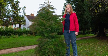 More trees planted across Exeter’s green open spaces