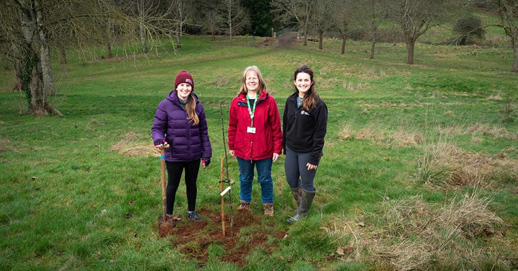 Work to increase biodiversity at beautiful Exeter greenspace gathers pace 